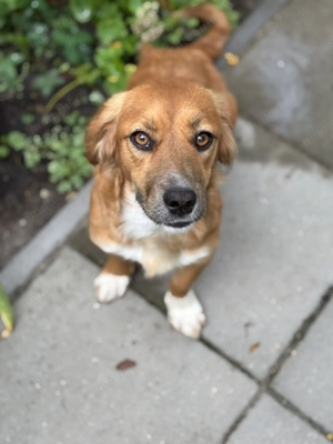 Elsa își caută o familie iubitoare  - imagine 2