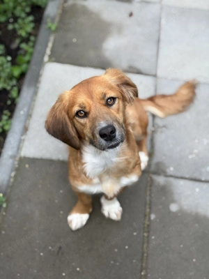 Elsa își caută o familie iubitoare 