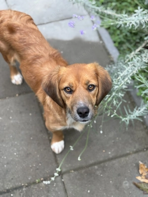 Elsa își caută o familie iubitoare  - imagine 4