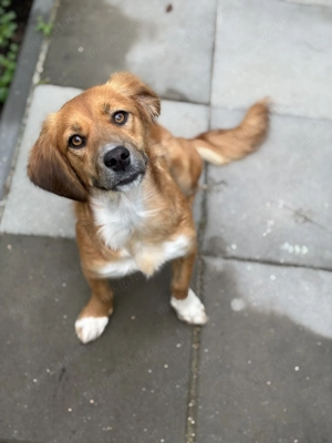 Elsa își caută o familie iubitoare  - imagine 3