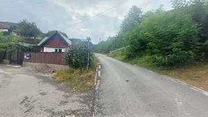 Casuta traditionala de vanzare in Saliste - imagine 10