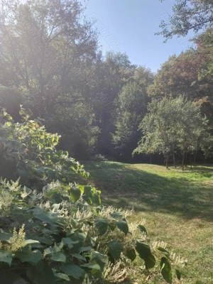 Vând teren ultracentral în Băile Olănești