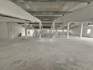 Hala la prima inchiriere, izolata termic, disponibila imediat in Jucu de Mijloc - imagine 11