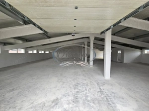 Hala la prima inchiriere, izolata termic, disponibila imediat in Jucu de Mijloc - imagine 8