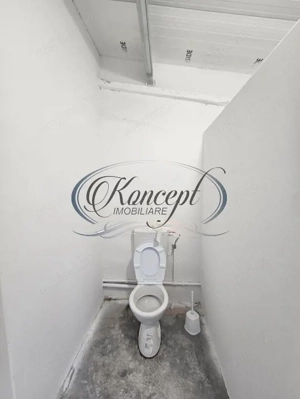 Hala la prima inchiriere, izolata termic, disponibila imediat in Jucu de Mijloc - imagine 15