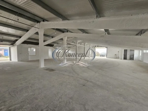 Hala la prima inchiriere, izolata termic, disponibila imediat in Jucu de Mijloc - imagine 6