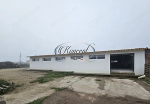 Hala la prima inchiriere, izolata termic, disponibila imediat in Jucu de Mijloc - imagine 4