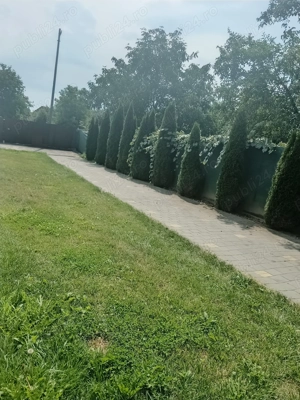 Vând casa 6 camere - imagine 7