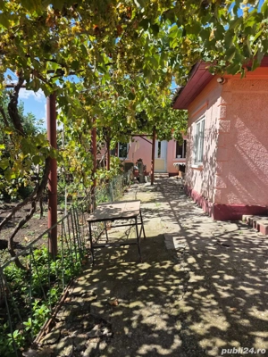 Casa de vanzare Com.23 August Jud.Constanta - imagine 4