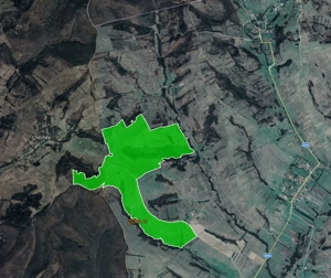 De vanzare plantatie de alun, situata in judetele Arad si Timis - imagine 2