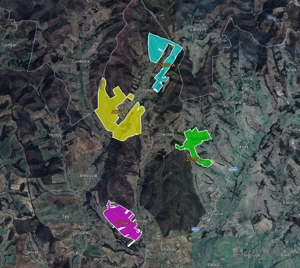 De vanzare plantatie de alun, situata in judetele Arad si Timis