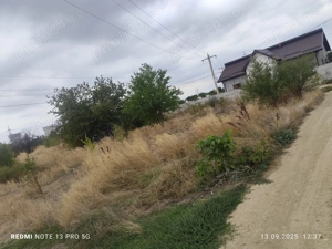 Vând loc casa Ișalnița