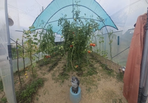 Gospodărie de vânzare în comuna Davidești, sat Voroveni. - imagine 7