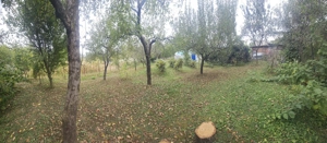 Gospodărie de vânzare în comuna Davidești, sat Voroveni. - imagine 6