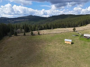 Teren de vanzare 15 hectare in Bucovina Moldova Sulita zona Lucina - imagine 9