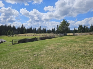 Teren de vanzare 15 hectare in Bucovina Moldova Sulita zona Lucina - imagine 4