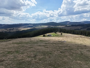 Teren de vanzare 15 hectare in Bucovina Moldova Sulita zona Lucina - imagine 7