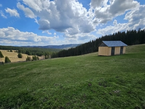 Teren de vanzare 15 hectare in Bucovina Moldova Sulita zona Lucina - imagine 3