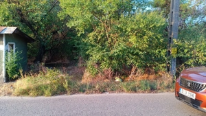 De vanzare teren intravilan cu padure   Potlogeni Vale, com. Crangurile, jud. Dambovita