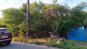 De vanzare teren intravilan cu padure   Potlogeni Vale, com. Crangurile, jud. Dambovita - imagine 4