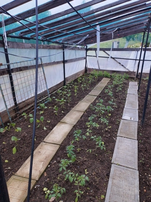 Casa de vanzare Costeiul de sus, com.Margina,jud.Timis - imagine 10