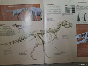 Dinozaur cu piese pentru schelet și  piele - imagine 2