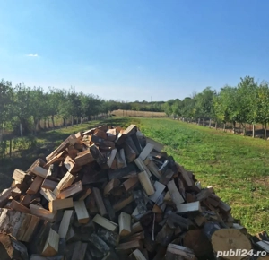 Vand casa caramida an 2000 - imagine 4