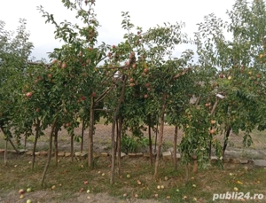 Vand casa caramida an 2000 - imagine 10