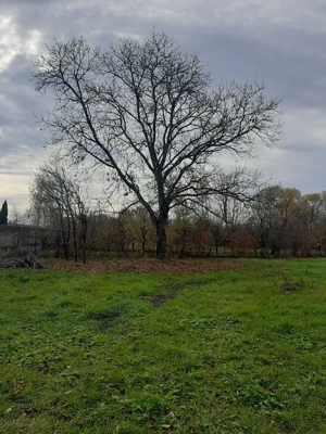 Vand teren intravilan - imagine 2