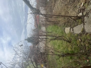 Vand casa cu teren GRĂDISTE-ARAD, str. Rândunicii, nr 32, lzonă excelentă,  - imagine 6