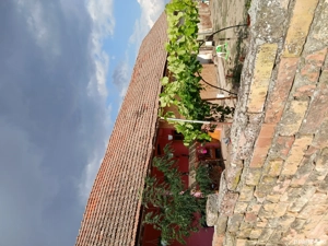 Casa de vanzare - imagine 2 Casa de vanzare - imagine 2