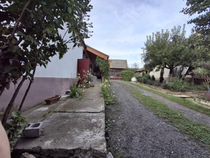 Casă de vanzare si 5 ha de pământ! - imagine 5 Casă de vanzare si 5 ha de pământ! - imagine 5
