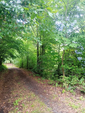 Teren Tarnița Plaja II  - imagine 4