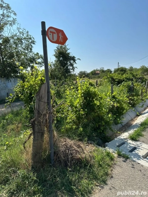 Pensiune turistica pe traseul Via Transilvanica - imagine 4