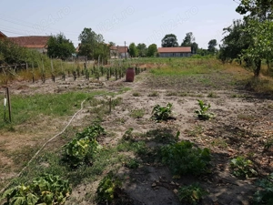 Casă de vânzare în Otvești   aproape de Timișoara - imagine 3