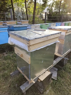 Stupi de albine carpatine - imagine 2