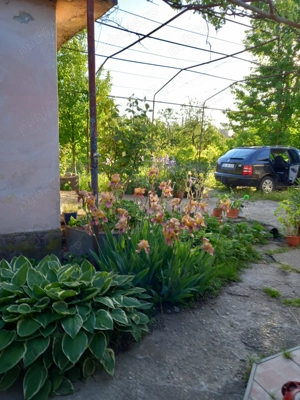 Vind casă cu teren Intravilan in Rimnicu-Vilcea Str. Buridava 34 - imagine 5