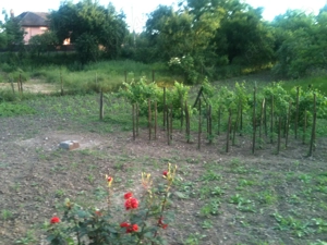 Vind casă cu teren Intravilan in Rimnicu-Vilcea Str. Buridava 34 - imagine 10