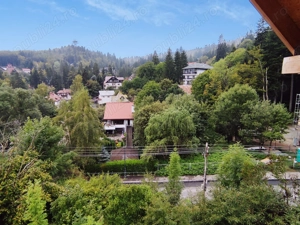 Sinaia - Peles - Vila individuala - 10 Camere - 260 mp utili - 700 mp teren - imagine 3