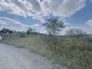 Teren  6.372mp Strs.Piersicilor/Str.Prunilor - imagine 8