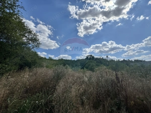 Teren  6.372mp Strs.Piersicilor/Str.Prunilor - imagine 9