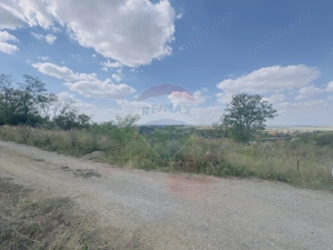 Teren  6.372mp Strs.Piersicilor/Str.Prunilor - imagine 6