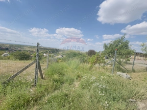 Teren  6.372mp Strs.Piersicilor/Str.Prunilor - imagine 7