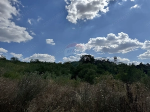 Teren  6.372mp Strs.Piersicilor/Str.Prunilor - imagine 13