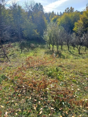 Vând  teren extravilan !