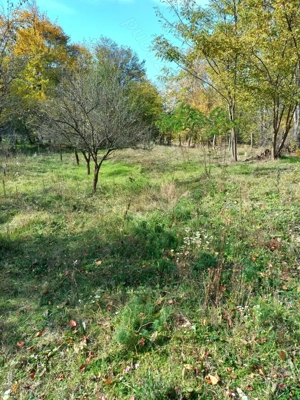 Vând  teren extravilan !