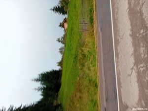 vând teren intravilan în Vatra Dornei  - imagine 2