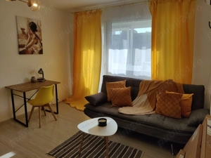 Apartament cu 2 camere de închiriat,direct de la proprietar   zona Take Ionescu, Strada București - imagine 8