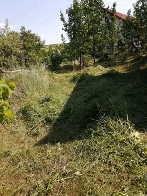 Vind teren 710 mp în sat CORPADEA JUDEȚUL Cluj.  - imagine 2