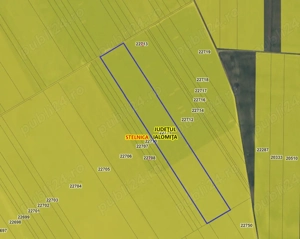 Teren agricol Stelnica, 4,5 HA, Unic propietar